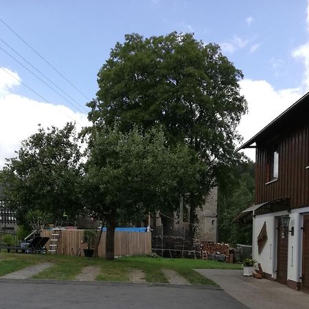 Fewo An Der Klosterruine Paulinzella Mit Kostenfreien Parkplatz Und Wlan Экстерьер фото