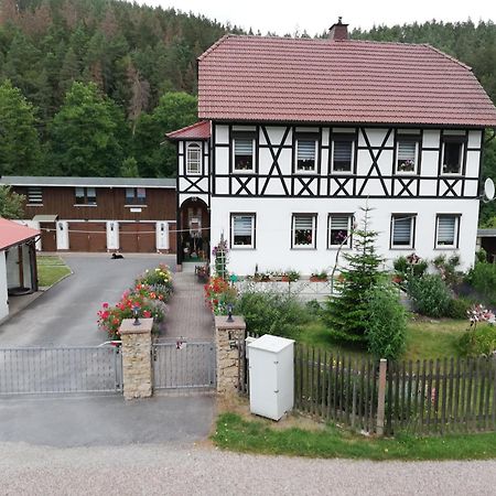 Fewo An Der Klosterruine Paulinzella Mit Kostenfreien Parkplatz Und Wlan Экстерьер фото
